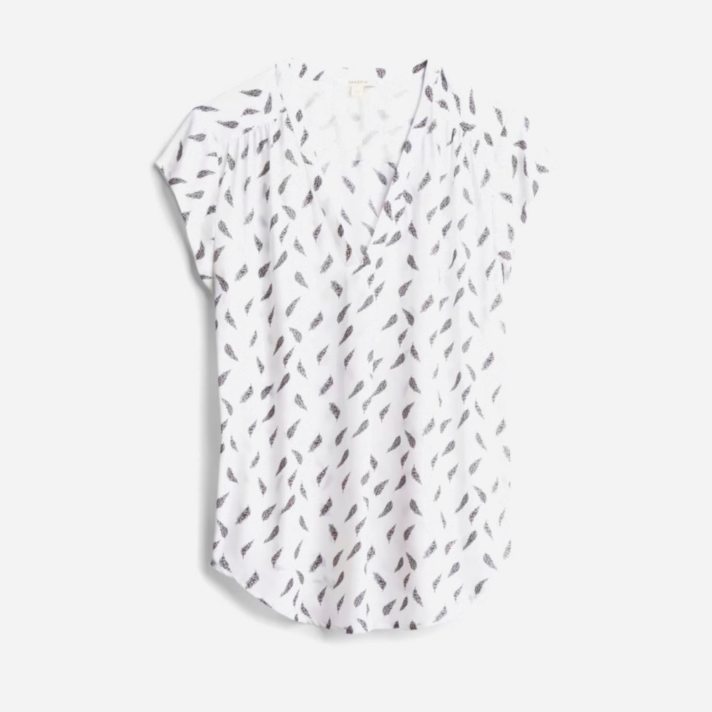 V neck blouse